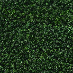 GREEN COIR MATTING - 1m