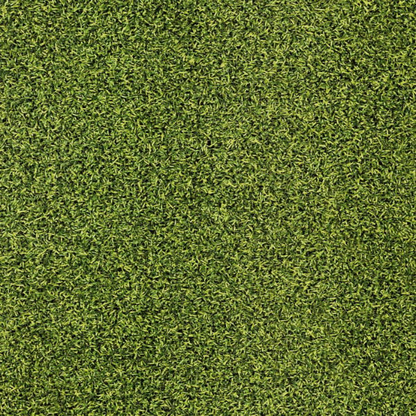 m x 4m ARTIFICIAL GRASS - ARDEN (16mm)